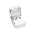 Earring Box - Simplicity Collection (12 pack)